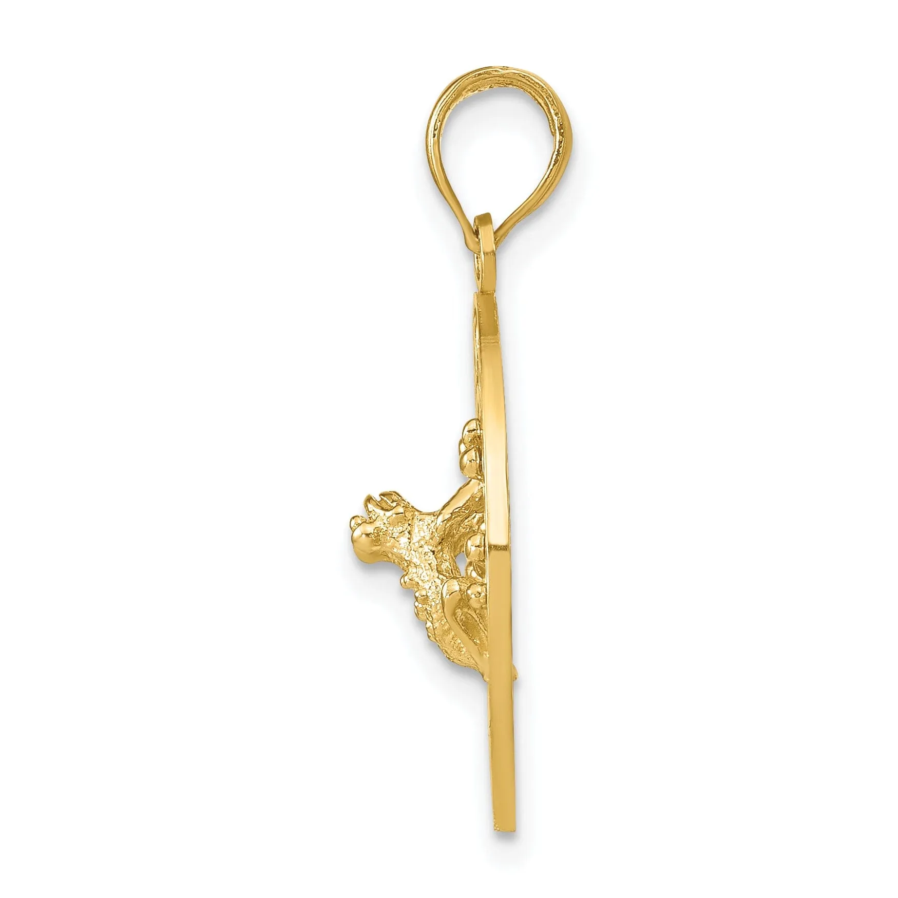 14k Yellow Gold PUERTO RICO with Frog in Circle Design Pendant
