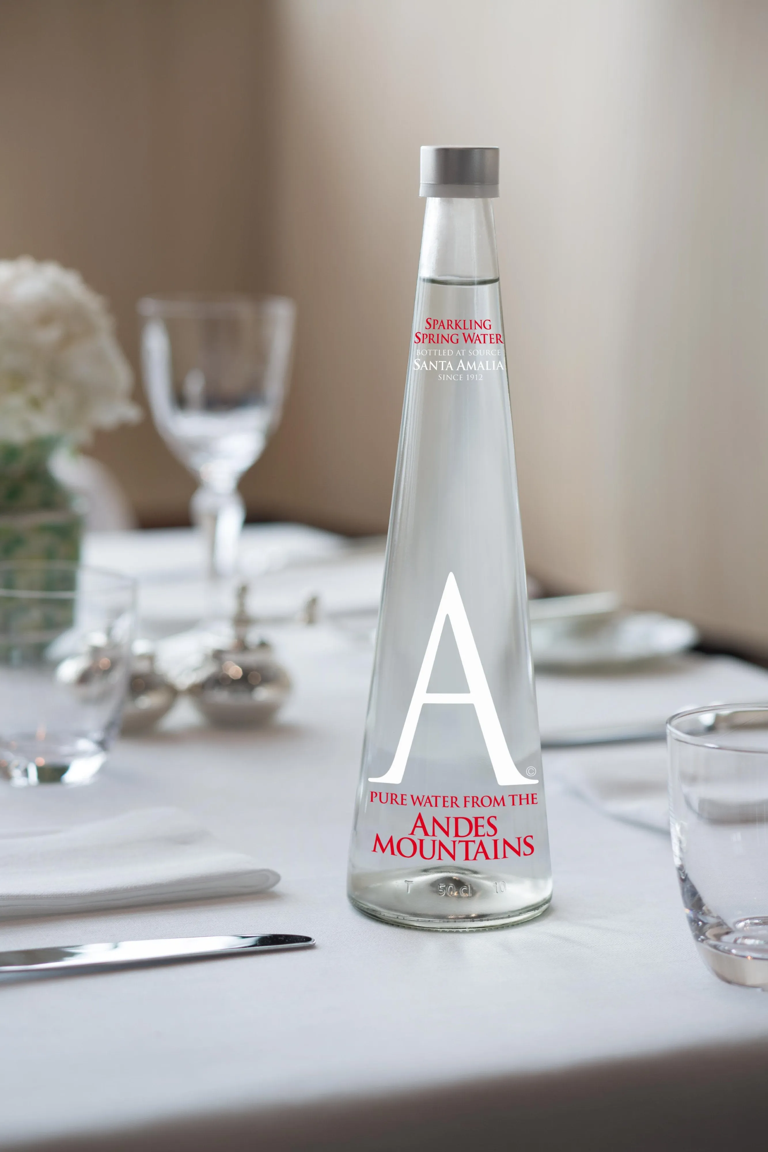 Andes Mountain Sparkling Water 16.9 oz / 500 ml