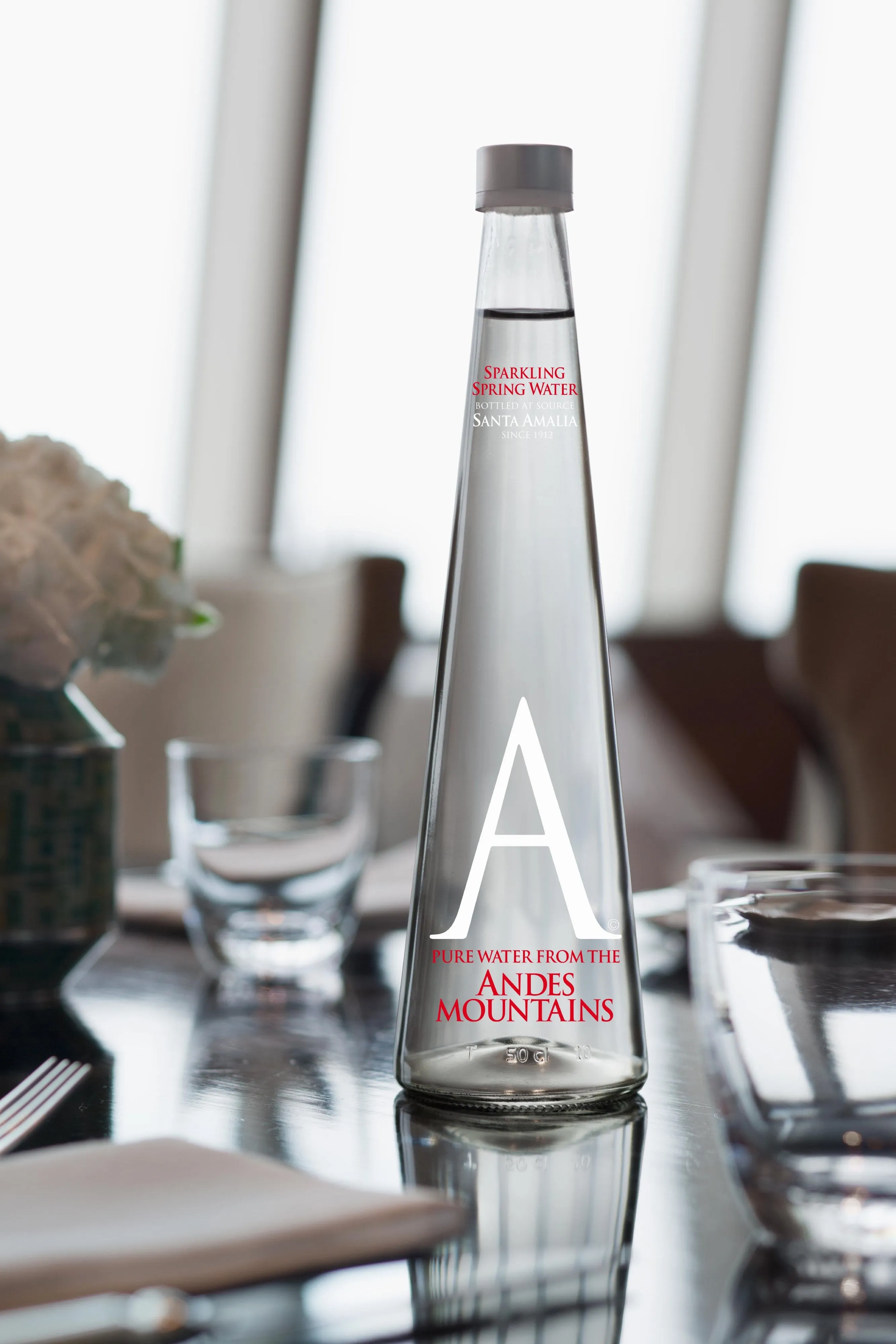 Andes Mountain Sparkling Water 16.9 oz / 500 ml