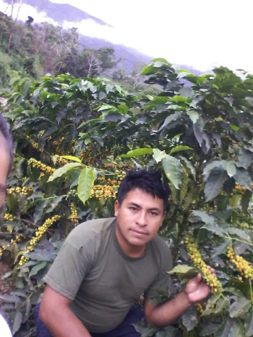 Bolivia Microlot: Ruben Caceres -San Ignacio. Available at Continental (NJ) & Salisbury, MA.