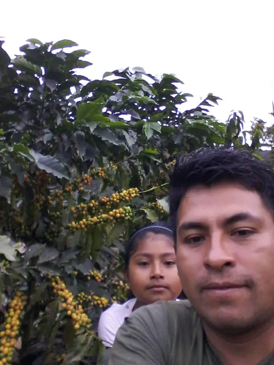 Bolivia Microlot: Ruben Caceres -San Ignacio. Available at Continental (NJ) & Salisbury, MA.