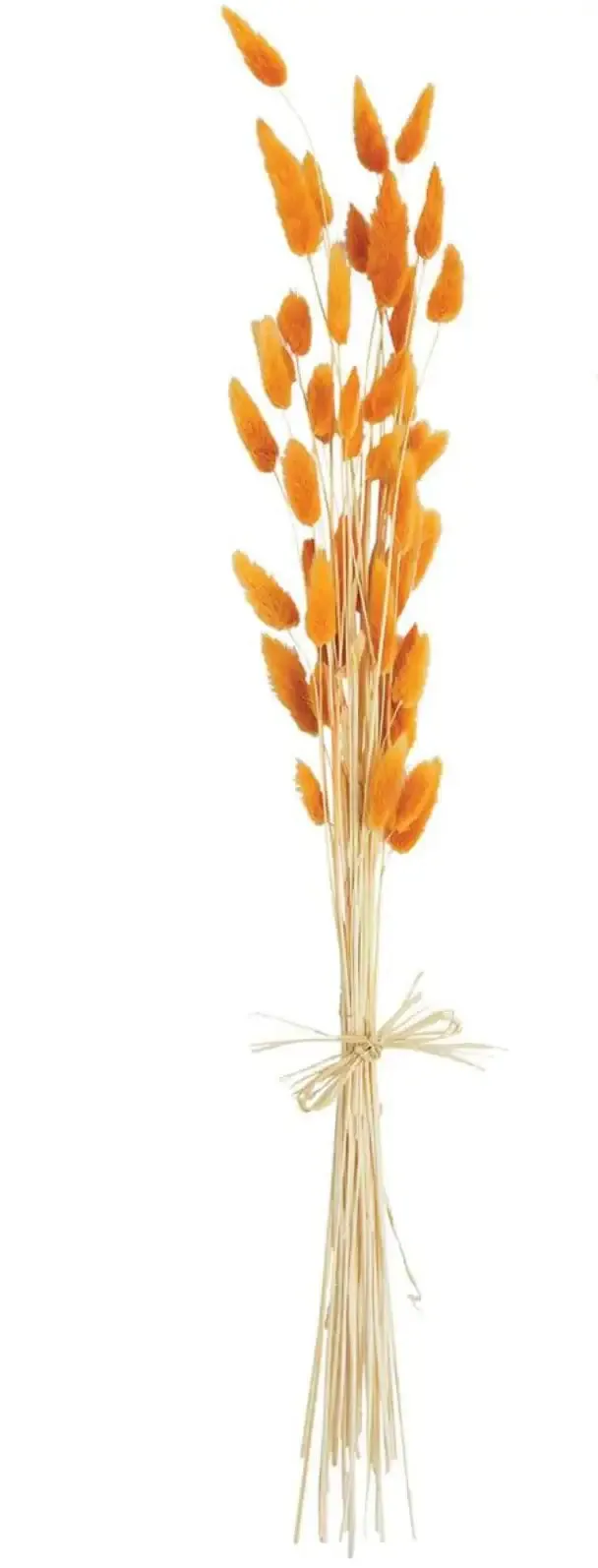 BUNNY TAIL BUNDLE STEMS