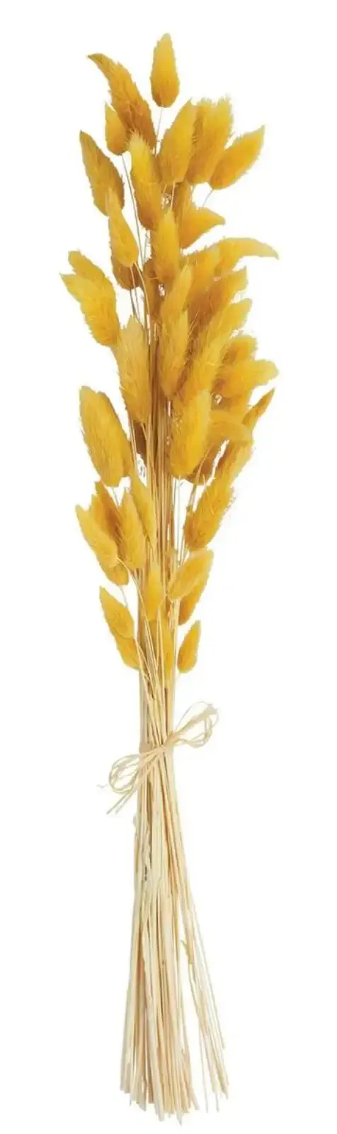 BUNNY TAIL BUNDLE STEMS