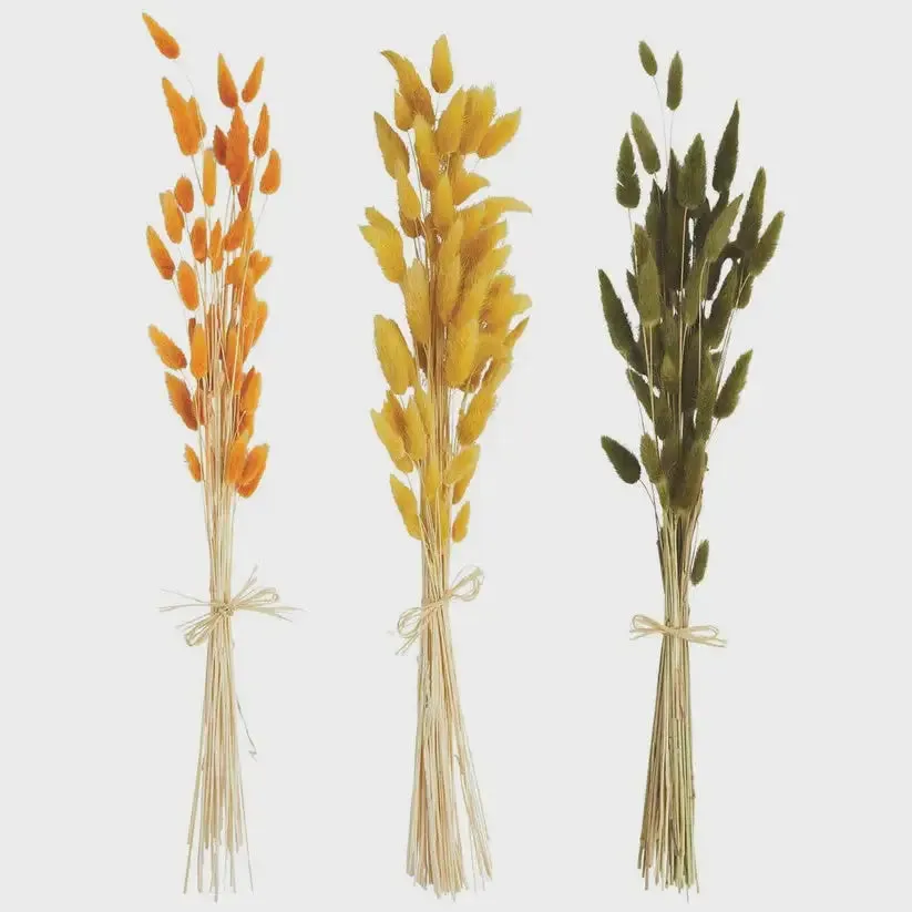 BUNNY TAIL BUNDLE STEMS