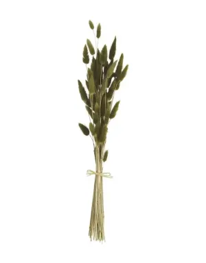 BUNNY TAIL BUNDLE STEMS