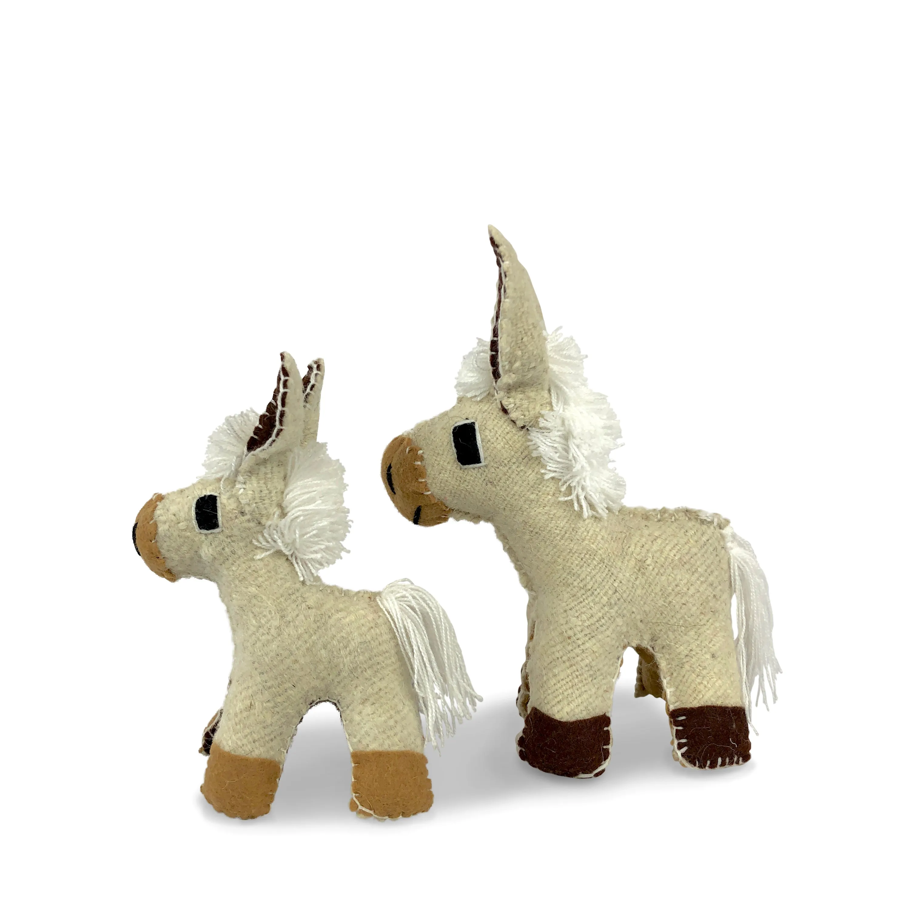 Burro   Baby
