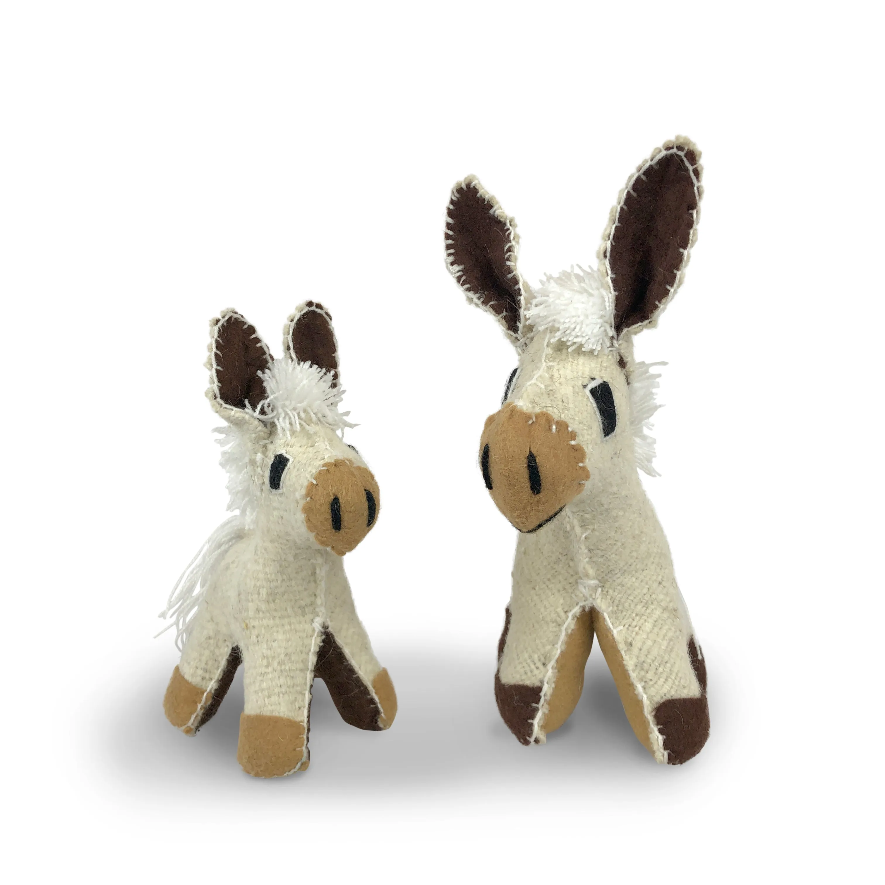 Burro   Baby