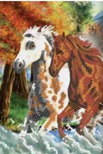 CANJ-04  Notebook : Wild Horses