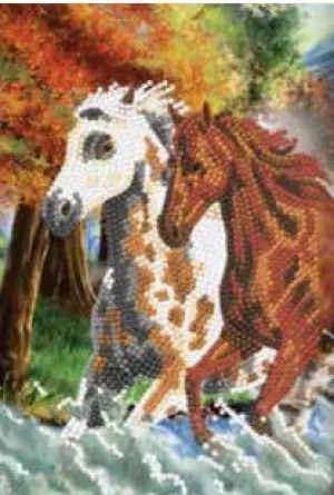 CANJ-04  Notebook : Wild Horses