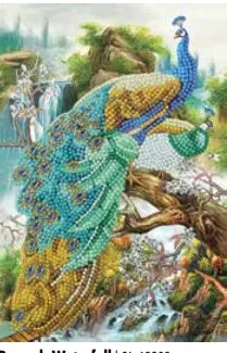 CANJ-17  Notebook : Peacock