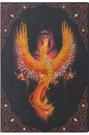 CANJ-9  Notebook : Phoenix Rising