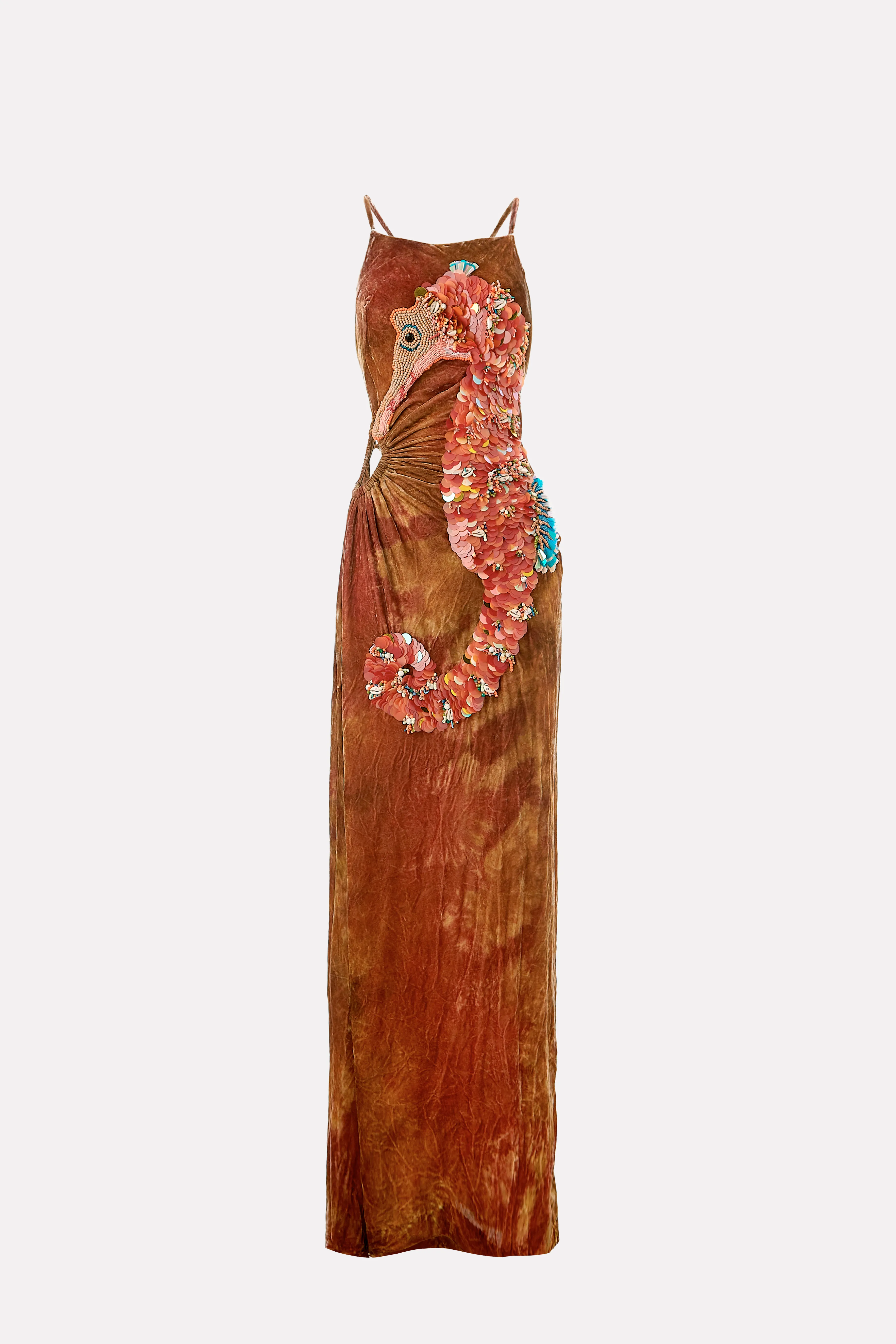 Embroidered Dress Caballito