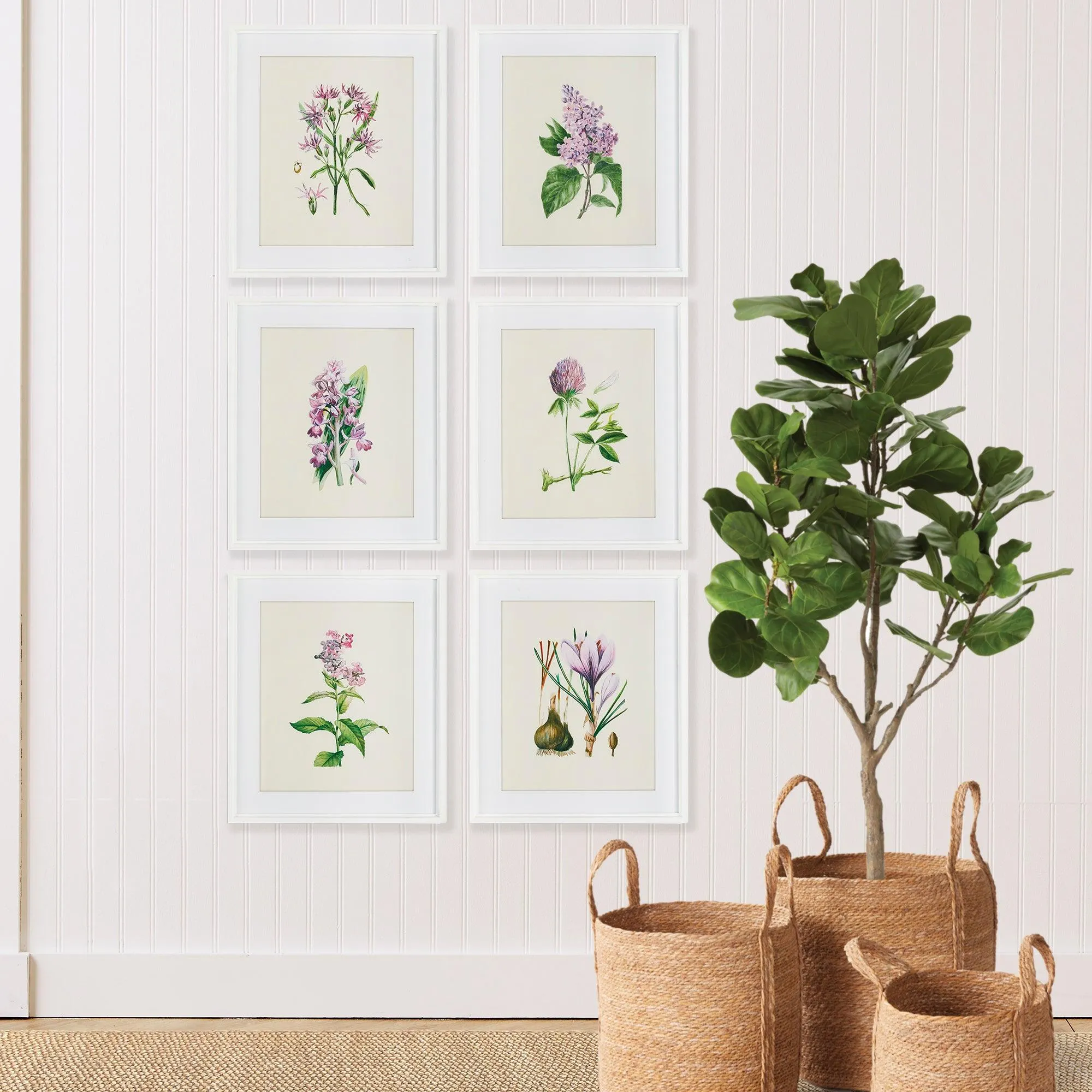 Flower Study Prints, Set Of 6
