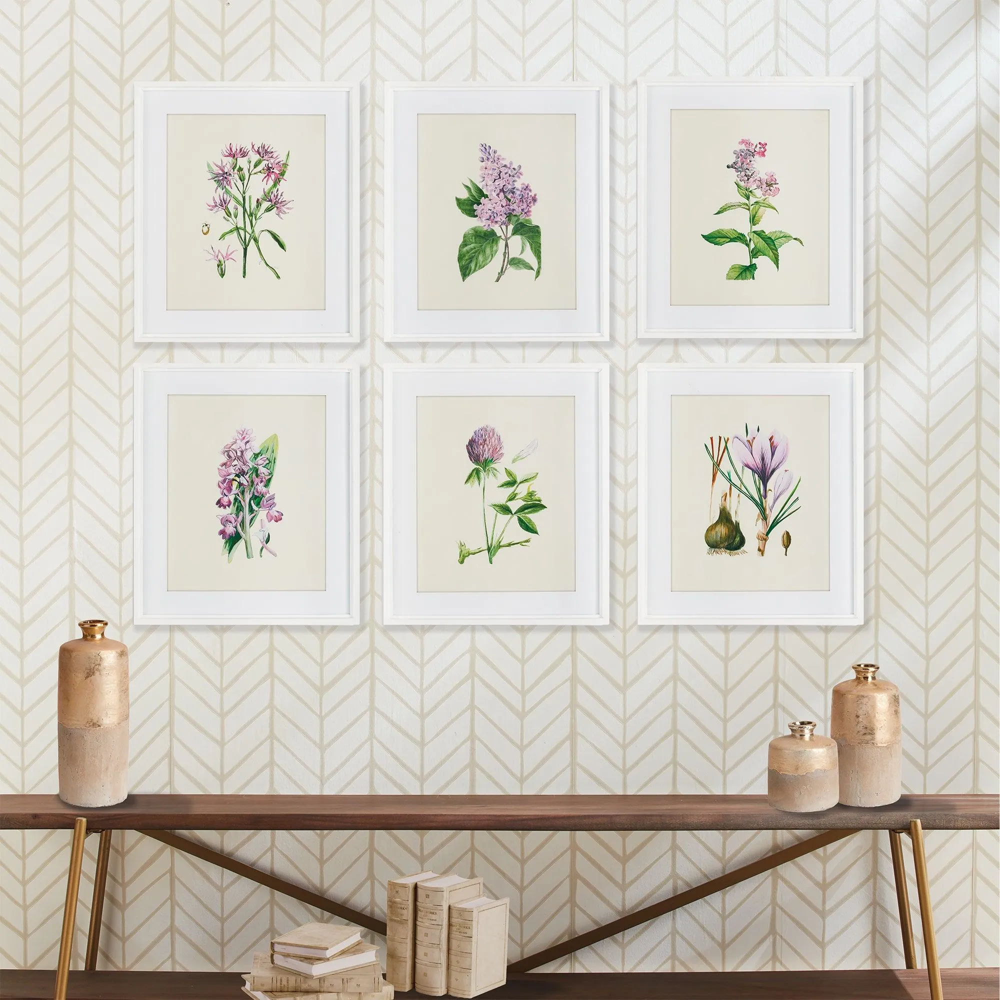 Flower Study Prints, Set Of 6