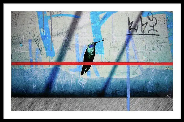 Humming Bird Grafitti - Framed Print