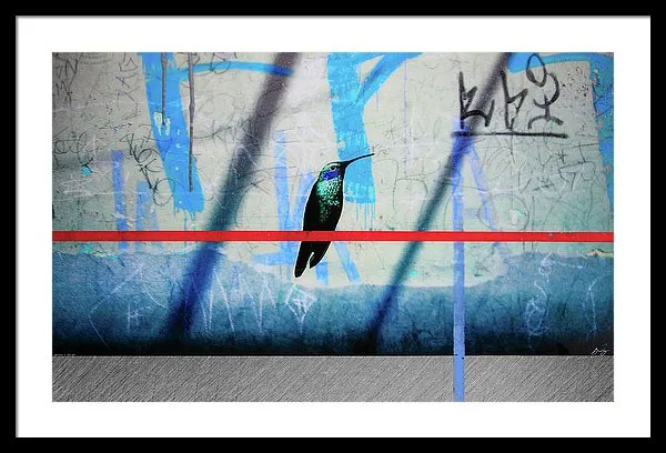 Humming Bird Grafitti - Framed Print