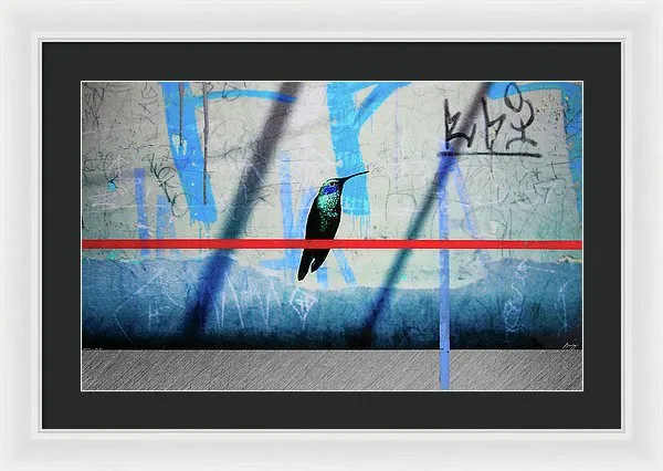 Humming Bird Grafitti - Framed Print