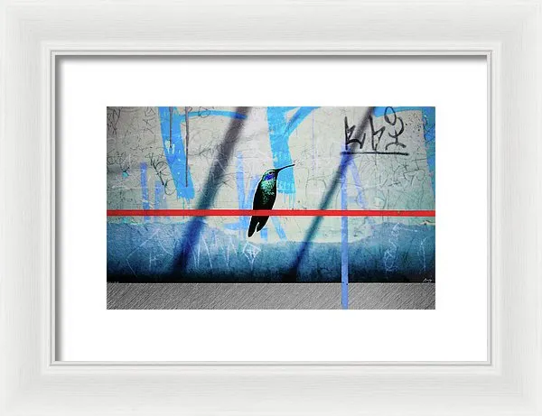 Humming Bird Grafitti - Framed Print