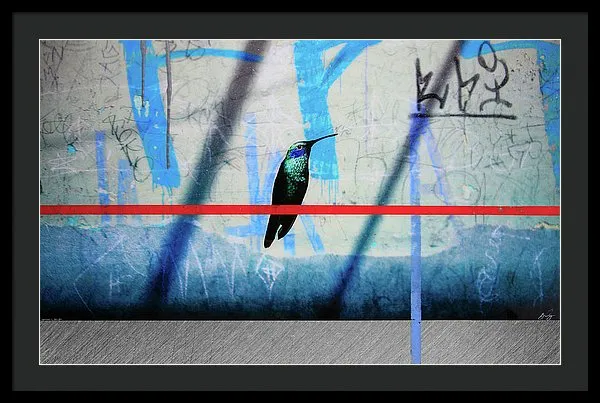 Humming Bird Grafitti - Framed Print