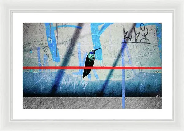 Humming Bird Grafitti - Framed Print