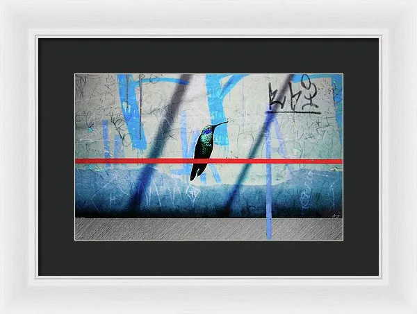 Humming Bird Grafitti - Framed Print