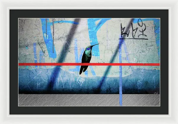 Humming Bird Grafitti - Framed Print