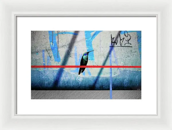 Humming Bird Grafitti - Framed Print