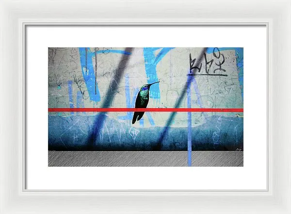 Humming Bird Grafitti - Framed Print