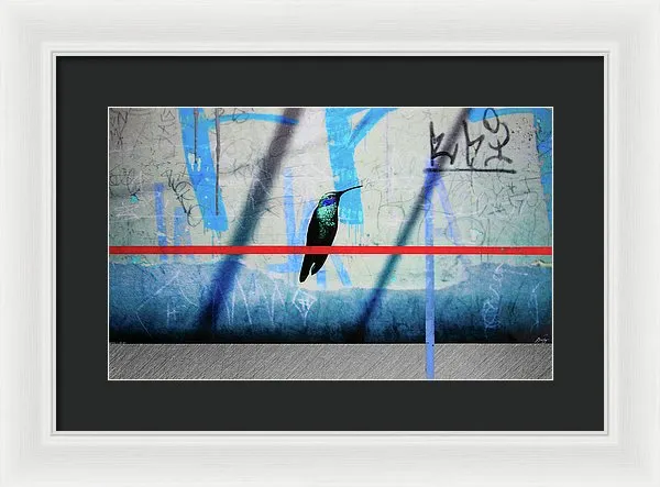 Humming Bird Grafitti - Framed Print