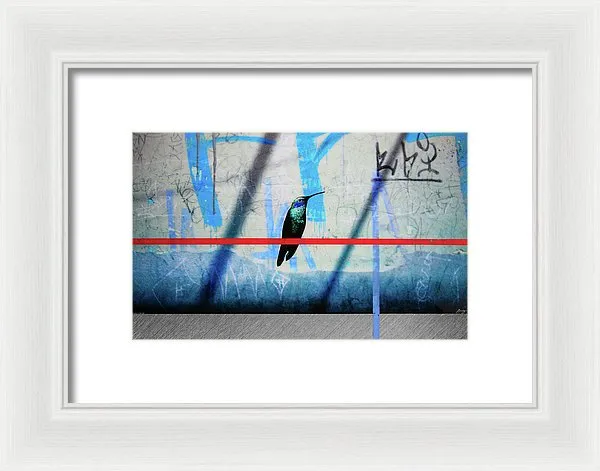 Humming Bird Grafitti - Framed Print