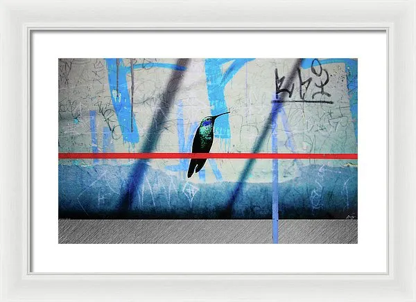 Humming Bird Grafitti - Framed Print