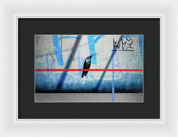 Humming Bird Grafitti - Framed Print