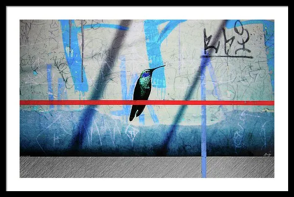 Humming Bird Grafitti - Framed Print