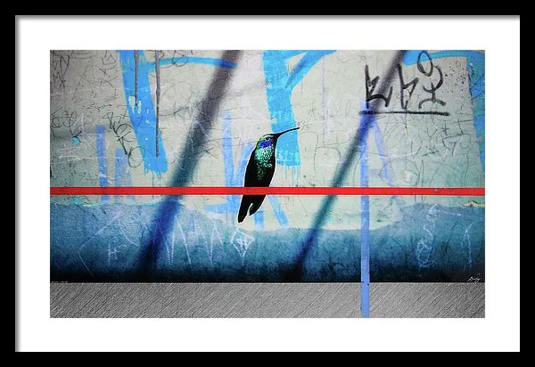 Humming Bird Grafitti - Framed Print