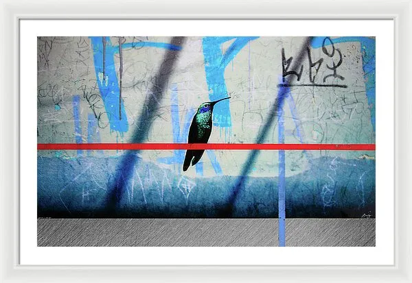 Humming Bird Grafitti - Framed Print