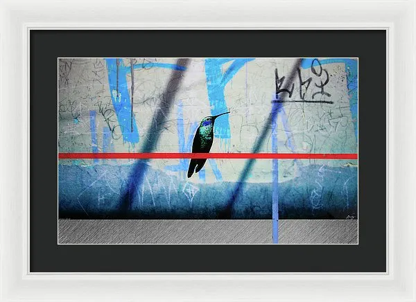 Humming Bird Grafitti - Framed Print