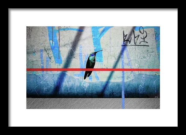 Humming Bird Grafitti - Framed Print