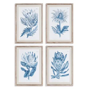 Indigo Protea Prints, Set Of 4