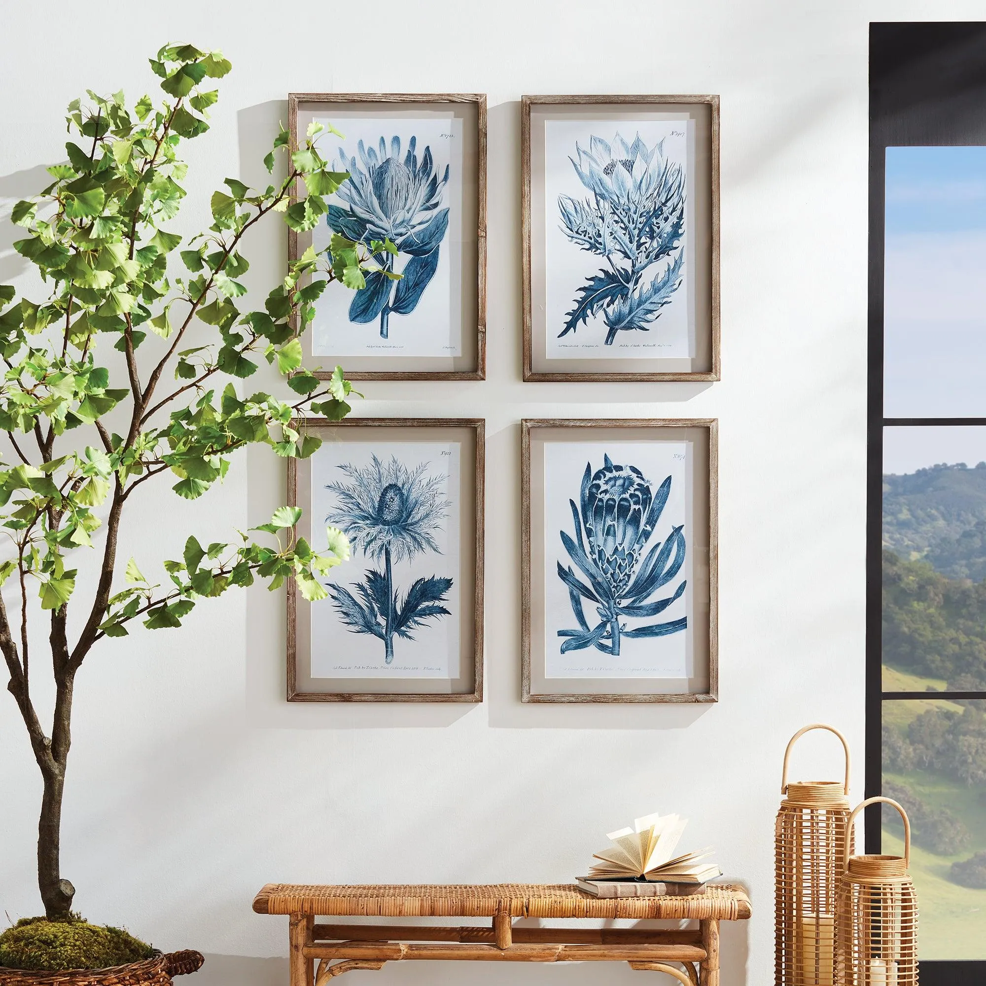Indigo Protea Prints, Set Of 4