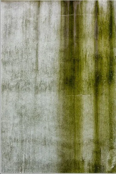 Lescaze Studio, Green Weathering View No. 3 Aluminum - Gladwyne, PA - Michael Spewak