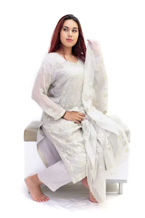 Light Grey Chiffon Salwar Kameez - Suit