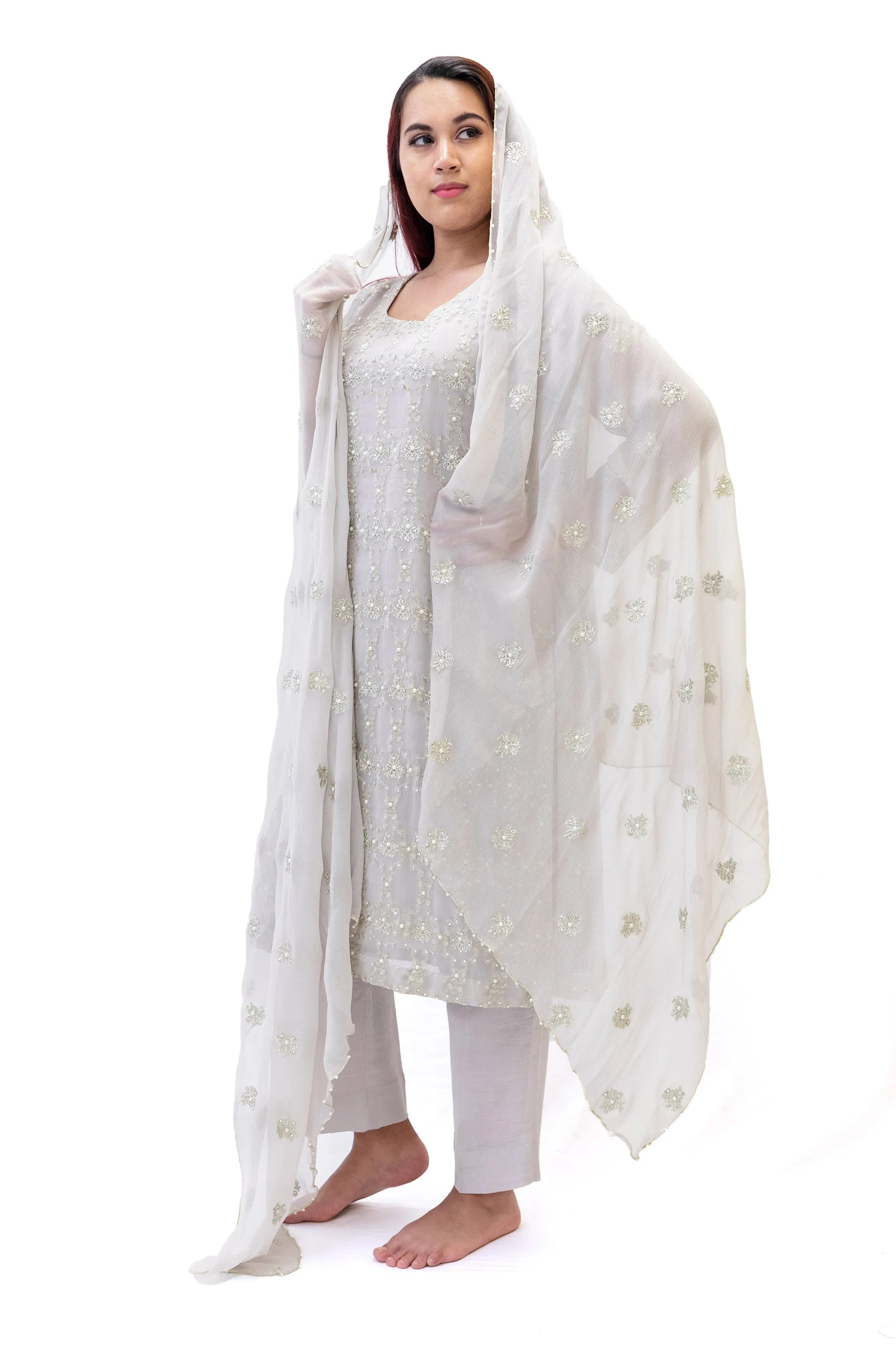 Light Grey Chiffon Salwar Kameez - Suit