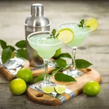 Margarita Mixer