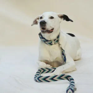 Marino Leash