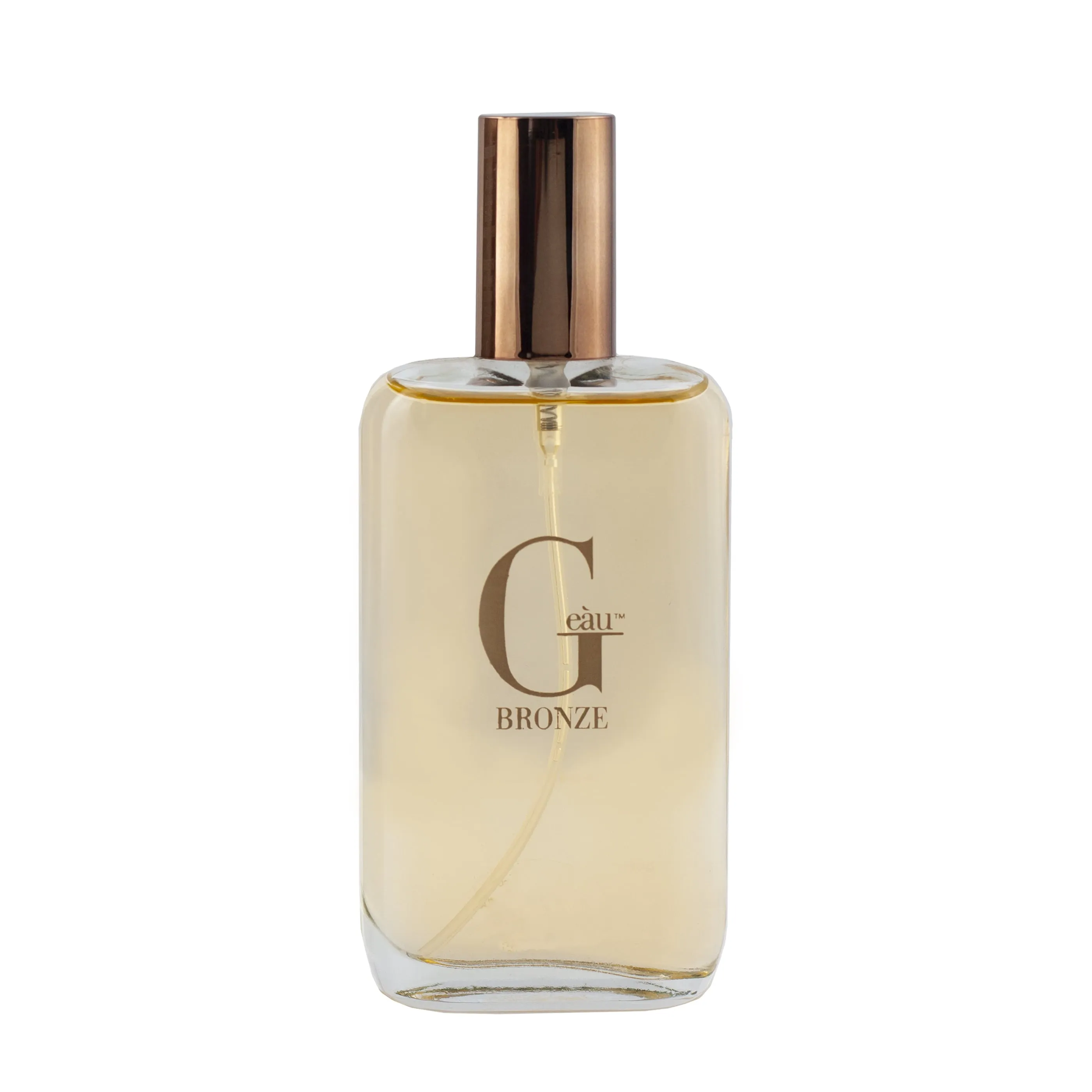Parfums Belcam G Eau Bronze EDT 3.4Oz/ 100ml Acqua di Gio Absolu Inspiration