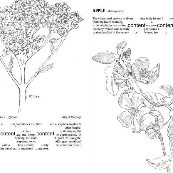 Plants Against the Patriarchy (Zine)