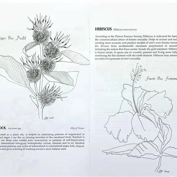 Plants Against the Patriarchy (Zine)
