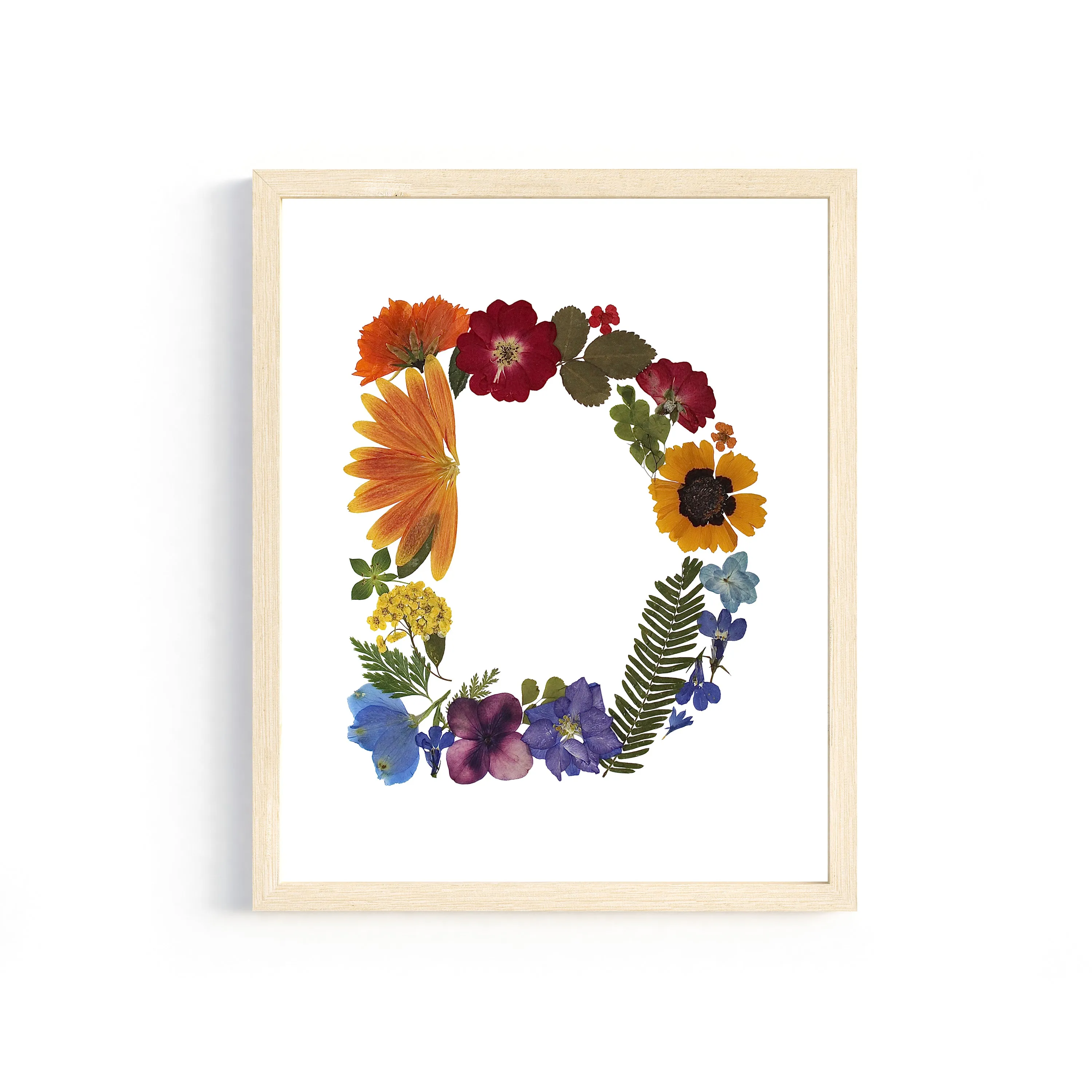 Rainbow Garden Letter "D" Floral Art Print
