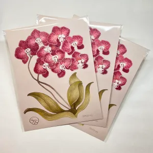 Red Orchid - Art Print (16"W x 20"H)
