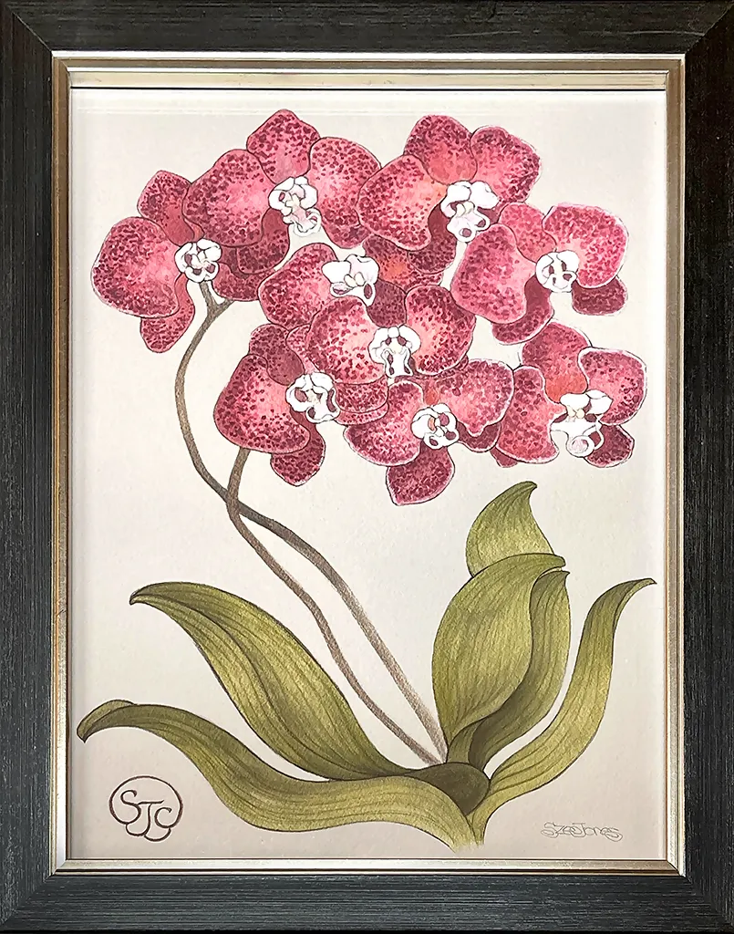 Red Orchid - Art Print (16"W x 20"H)